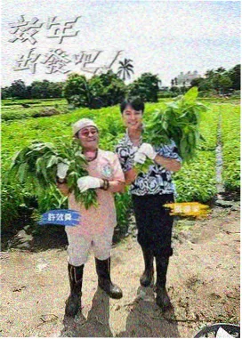 回声剧集海报